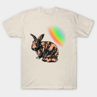 Gabel with Rainbow T-Shirt